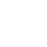 S logo